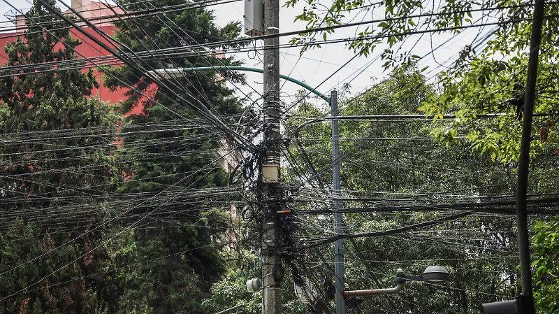 Cables Hemerson y Horacio Colonia Polanco 